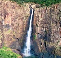 Buujan Quiinbiira Walk Wet Tropics Great Walk - Darwin Tourism