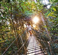 Tree Top Walkway - Darwin Tourism