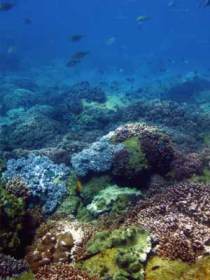 Bargara QLD Darwin Tourism
