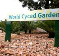Anderson Park Botanic Gardens - Darwin Tourism