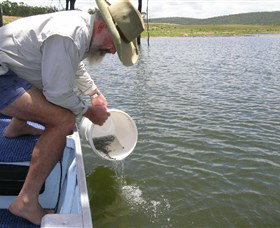 Eungella Dam - Darwin Tourism 0