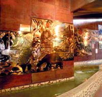 Riversleigh Fossil Centre - Darwin Tourism
