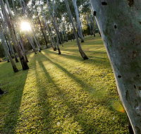 Tondoon Botanic Gardens - Darwin Tourism