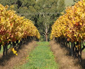 Wild Dog Winery & Restaurant - Darwin Tourism 0