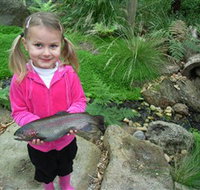 Wild Food Farm  Cafe