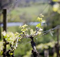 Elan Vineyard and Winery - Darwin Tourism