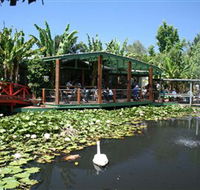 Blue Lotus Water Garden - Darwin Tourism