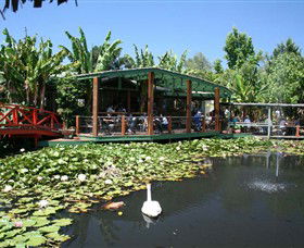 Blue Lotus Water Garden - Darwin Tourism 0