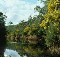 Warrandyte State Park - Darwin Tourism