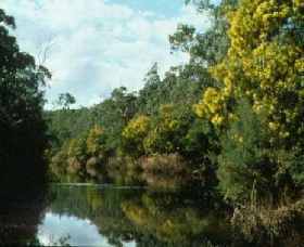Warrandyte State Park - Darwin Tourism 0