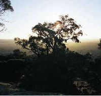 Yarra Flats - Darwin Tourism