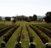 Rochford Wines - Darwin Tourism