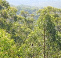 Bunyip State Park - Darwin Tourism