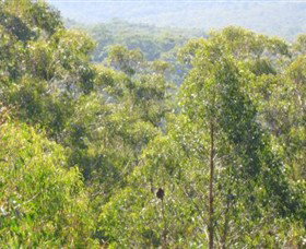 Bunyip State Park - Darwin Tourism 0