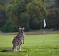 Anglesea Golf Club - Darwin Tourism