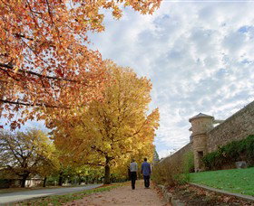 Beechworth Historic Park - Darwin Tourism 0
