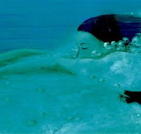 Muse - Darwin Tourism