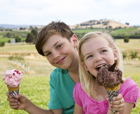 Yarra Valley Chocolaterie & Ice Creamery - Darwin Tourism 6