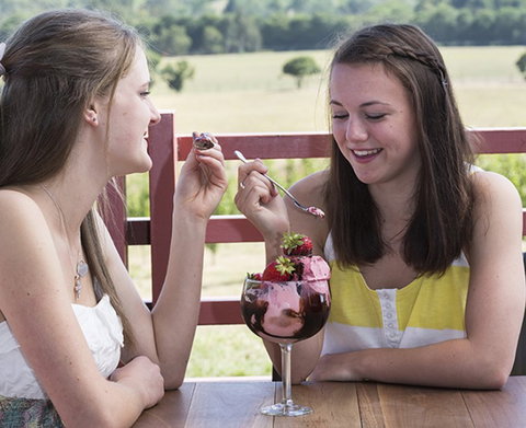 Yarra Valley Chocolaterie & Ice Creamery - Darwin Tourism 8