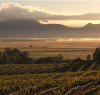 Montara Wines - Darwin Tourism