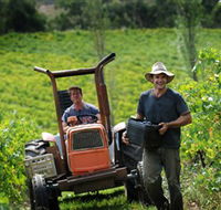 Kellybrook Winery  Kelly Brothers Cider - Darwin Tourism