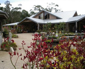 Kuranga Native Nursery And Paperbark Cafe - Darwin Tourism 0
