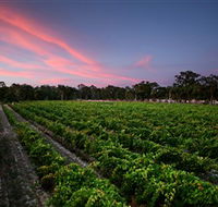 Amherst Winery - Darwin Tourism