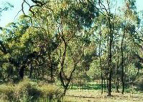 Appin South VIC Darwin Tourism