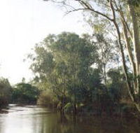 Banksia Park - Darwin Tourism