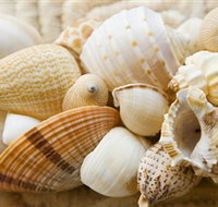 Anglesea Beach Club - Darwin Tourism