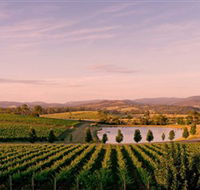 Oakridge Wines - Darwin Tourism