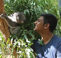 Healesville Sanctuary - Darwin Tourism
