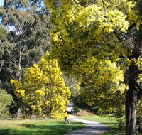 Wattle Park - Darwin Tourism