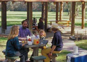 Upper Yarra Reservoir Park - Darwin Tourism 0