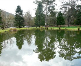 Mountain Fresh Trout And Salmon Farm - Darwin Tourism 0