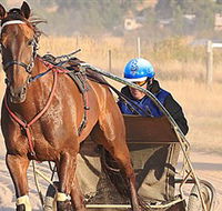 Ballarat  District Trotting Club - Darwin Tourism