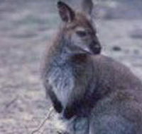 Churchill National Park - Darwin Tourism