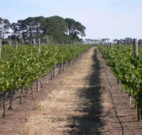 Mount Beckworth Wines - Darwin Tourism