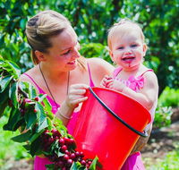 Cherryhill Orchards - Darwin Tourism