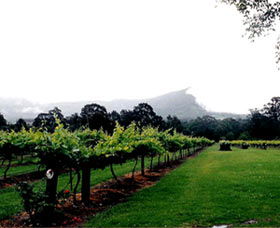 Cambewarra Estate Wines - Darwin Tourism 0