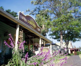 Passionfish Candles - Darwin Tourism 0