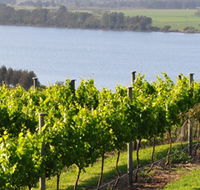 Two Figs Winery - Darwin Tourism