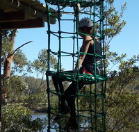 Trees Adventure Shoalhaven - Darwin Tourism