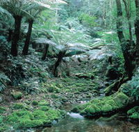 Deua National Park - Darwin Tourism