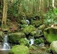 Budderoo National Park - Darwin Tourism