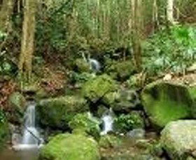 Budderoo National Park - Darwin Tourism 0