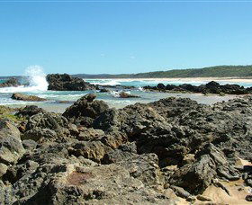 Coastal Walks - Bermagui - Darwin Tourism 0