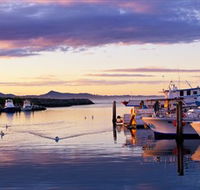 Bermagui Fishermens Wharf - Darwin Tourism