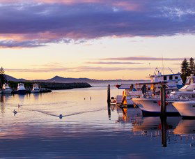 Bermagui Fishermens Wharf - Darwin Tourism 0