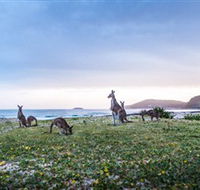 Pebbly Beach - Darwin Tourism